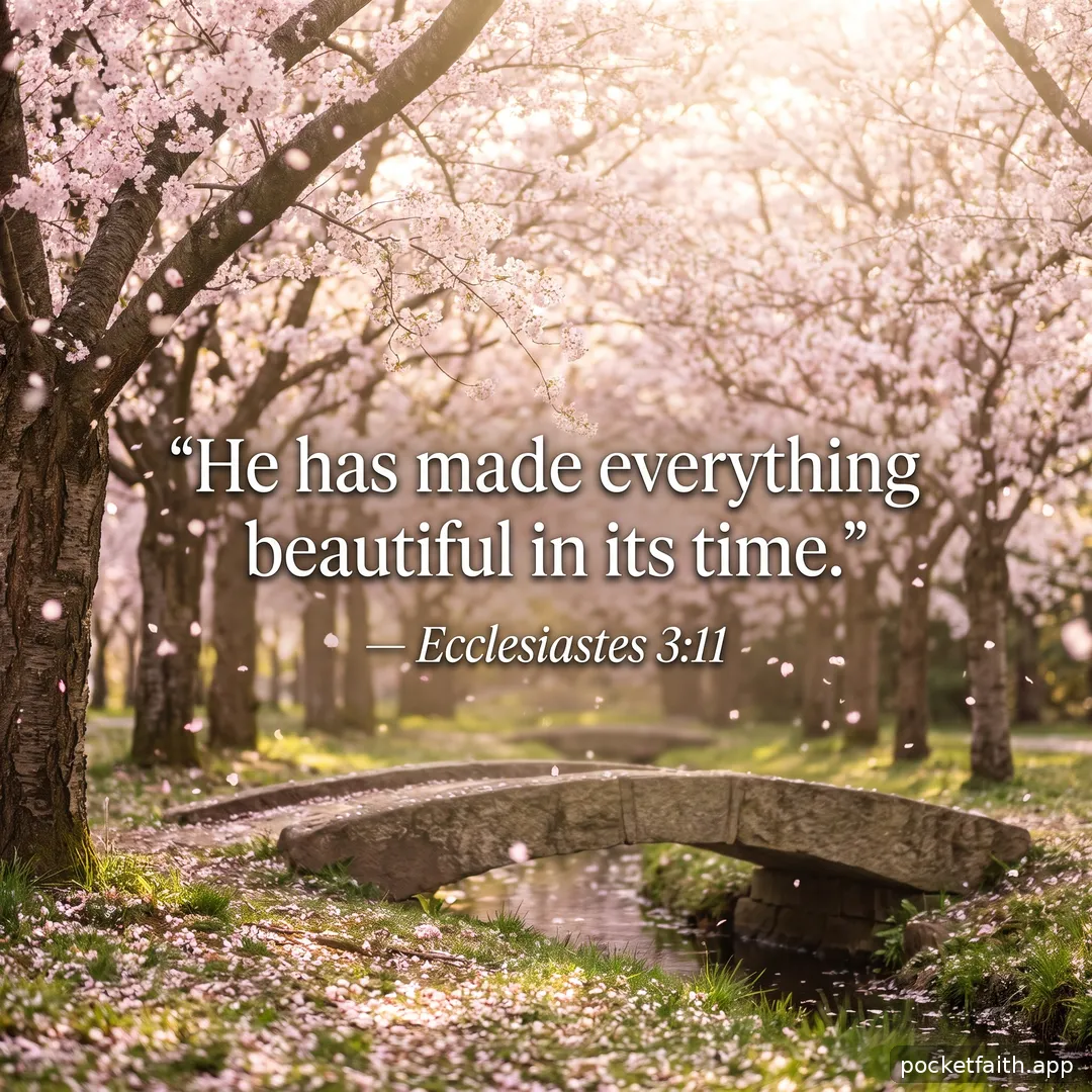 He has made everything beautiful in its time. — Ecclesiastes 3:11