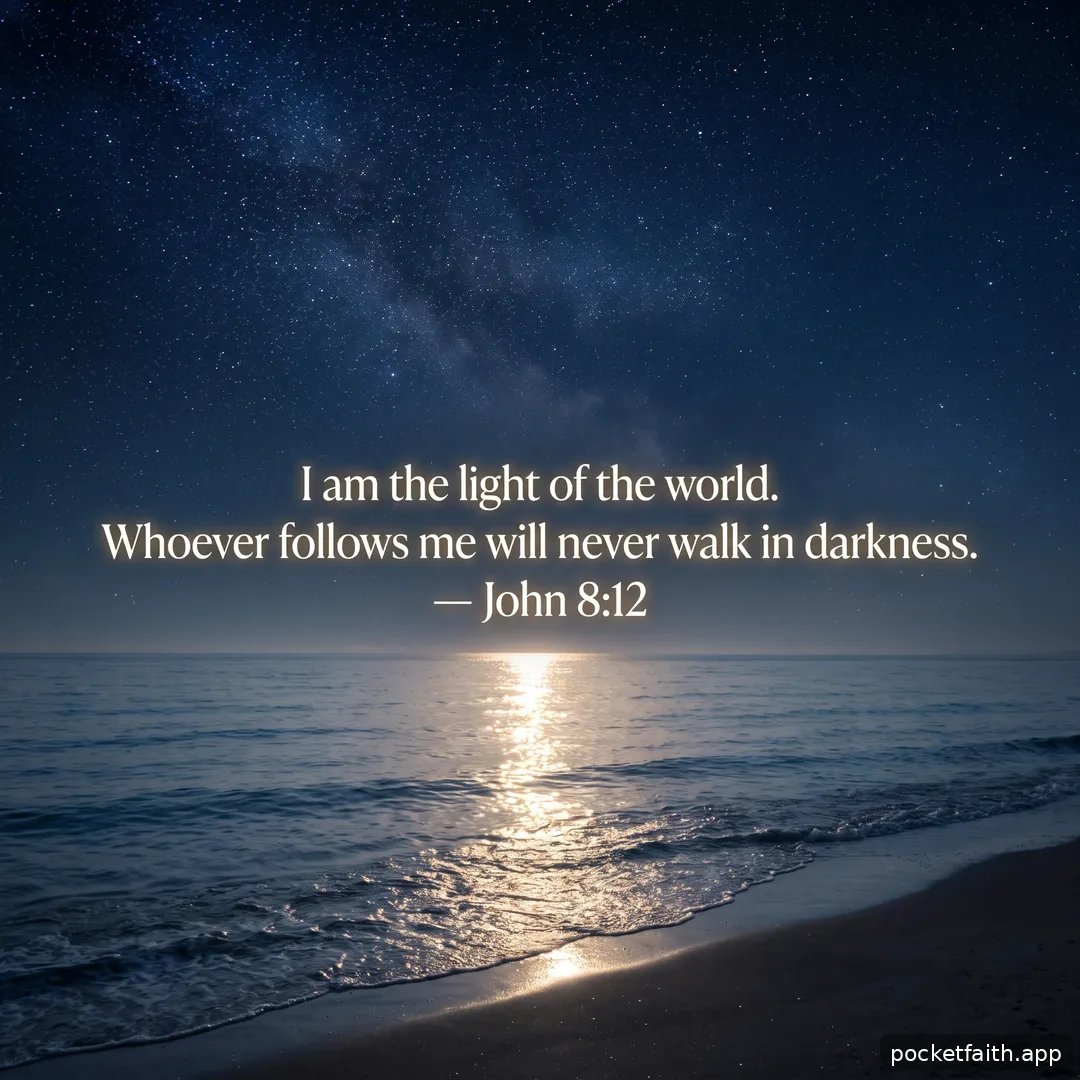 I am the light of the world. Whoever follows me will never walk in darkness. — John 8:12
