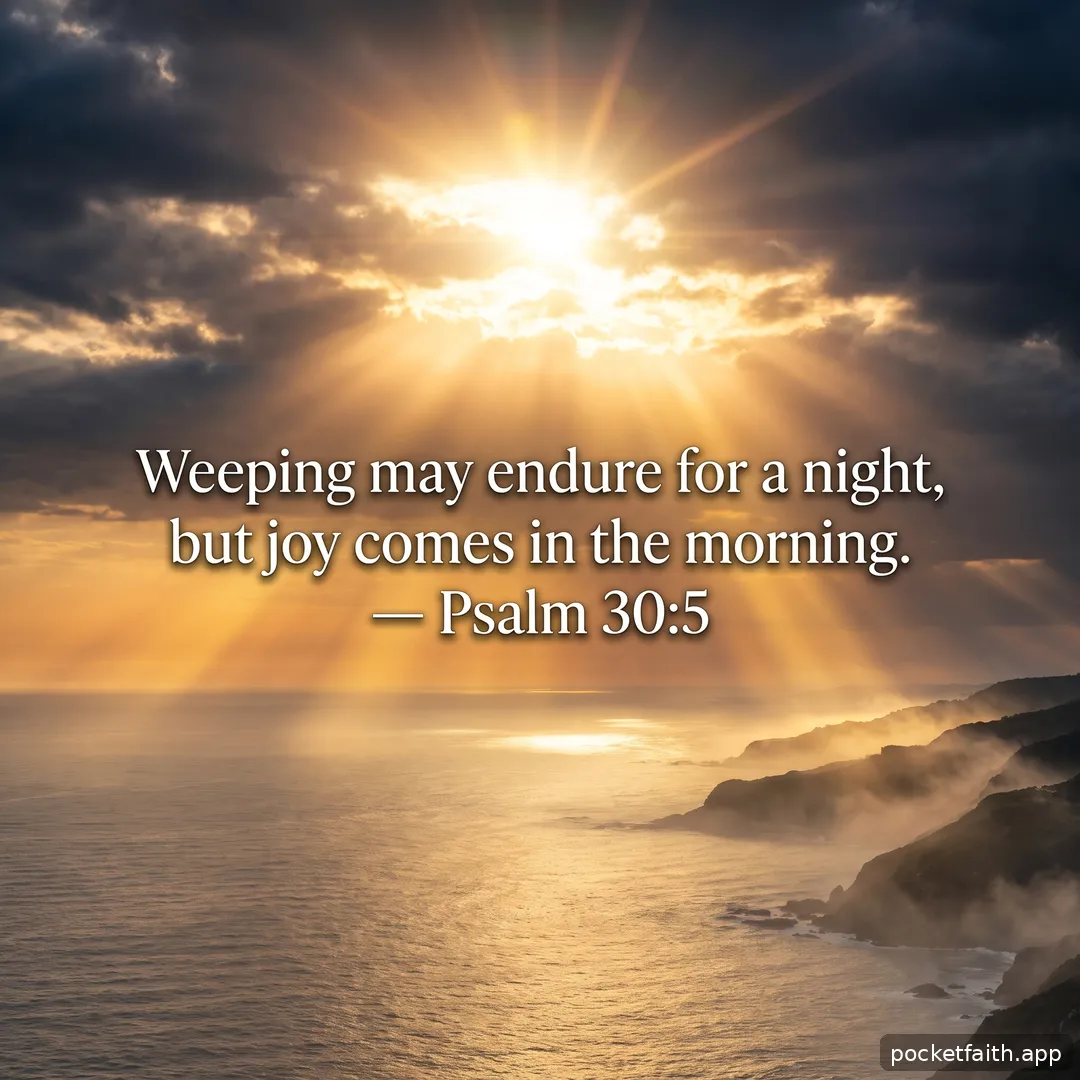Weeping may endure for a night, but joy comes in the morning. — Psalm 30:5