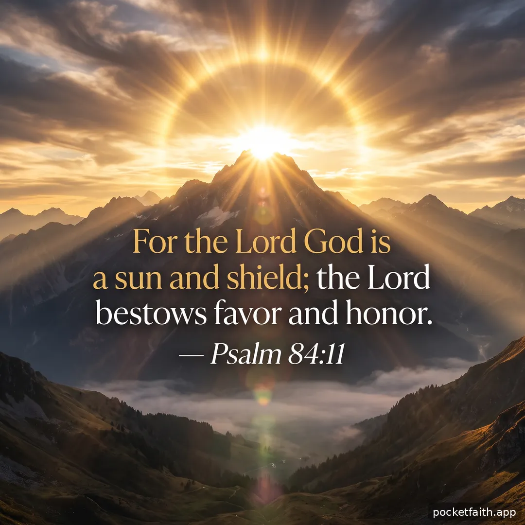 For the Lord God is a sun and shield; the Lord bestows favor and honor. — Psalm 84:11